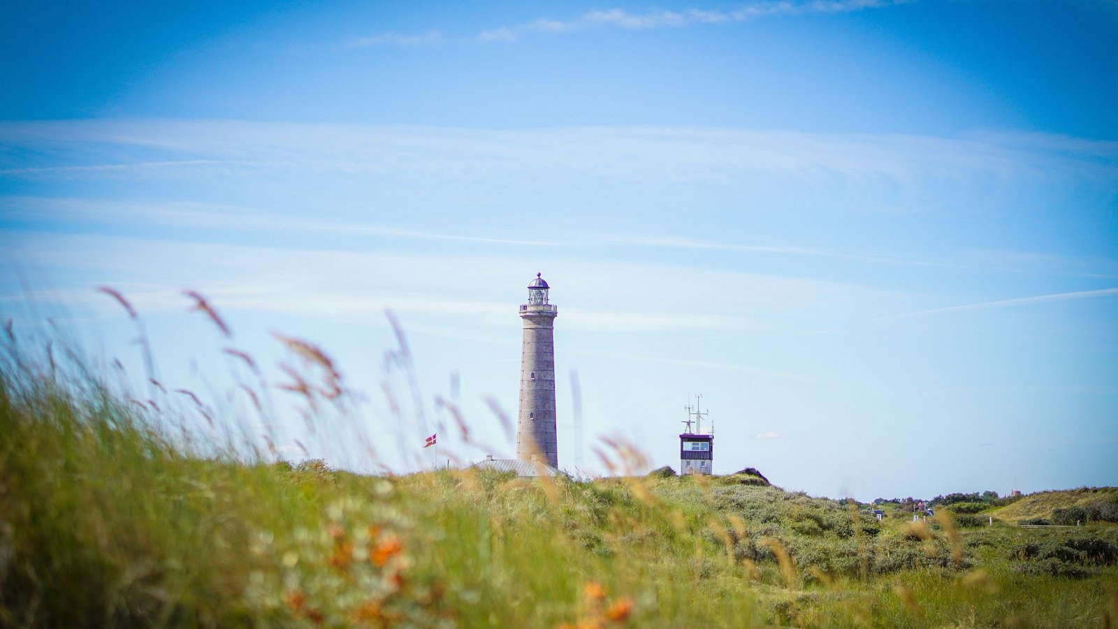 Foto_ Aiva Apsite / Unsplash